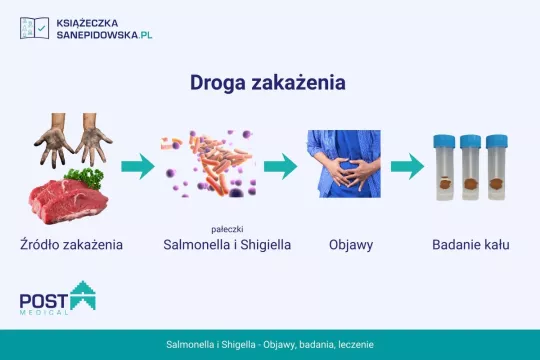 Salmonella i Shigella - objawy, leczenie i badania